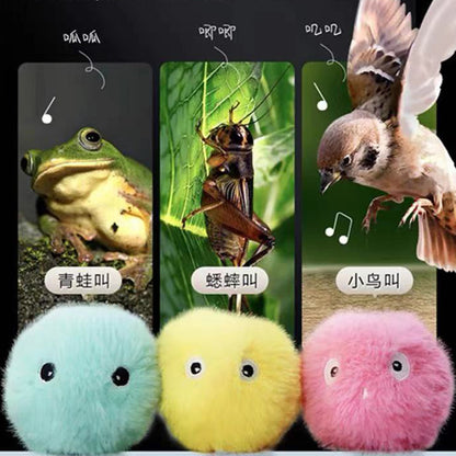 音が出るインタラクティブボール - 猫用キャットニップおもちゃ